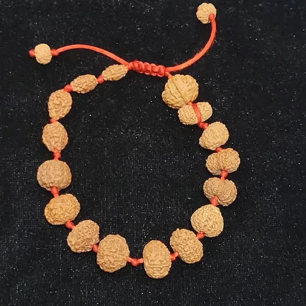 1_To_14_Mukhi_Rudraksha_Bracelet