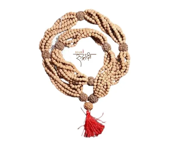 Rudra_Kantha_Mala_With_1008_Beads