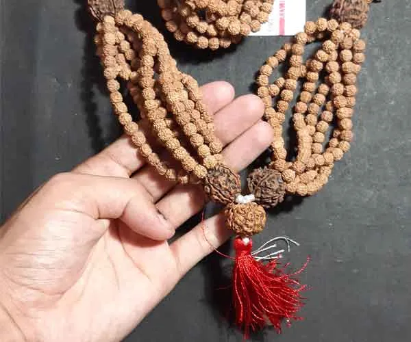 Rudra_Kantha_Mala_With_1008_Beads