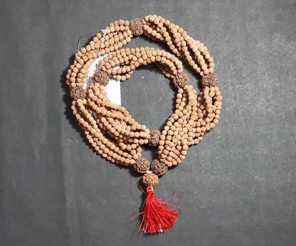 Rudra_Kantha_Mala_With_1008_Beads