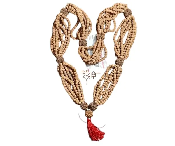 Rudra_Kantha_Mala_With_1008_Beads