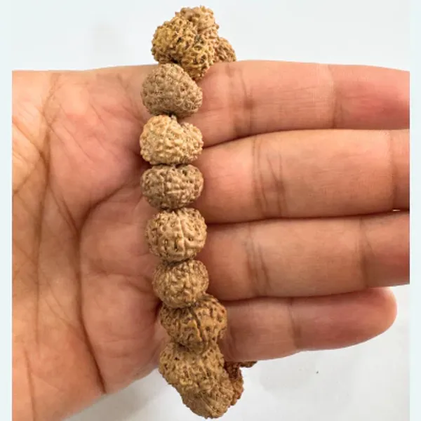 11_Mukhi_Bracelet_Java