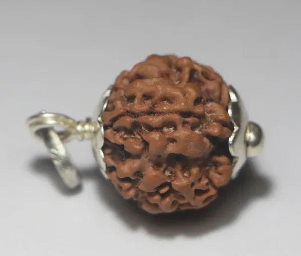 1_Mukhi_Rudraksha_Round_-Nepal_Origin