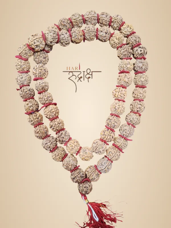 5_Mukhi_Kantha_Mala_32+1_Big_Beads