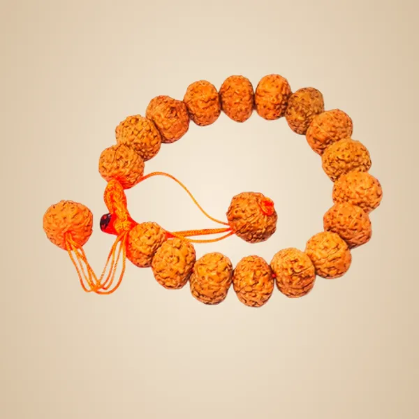 6_Mukhi_Bracelet_Java