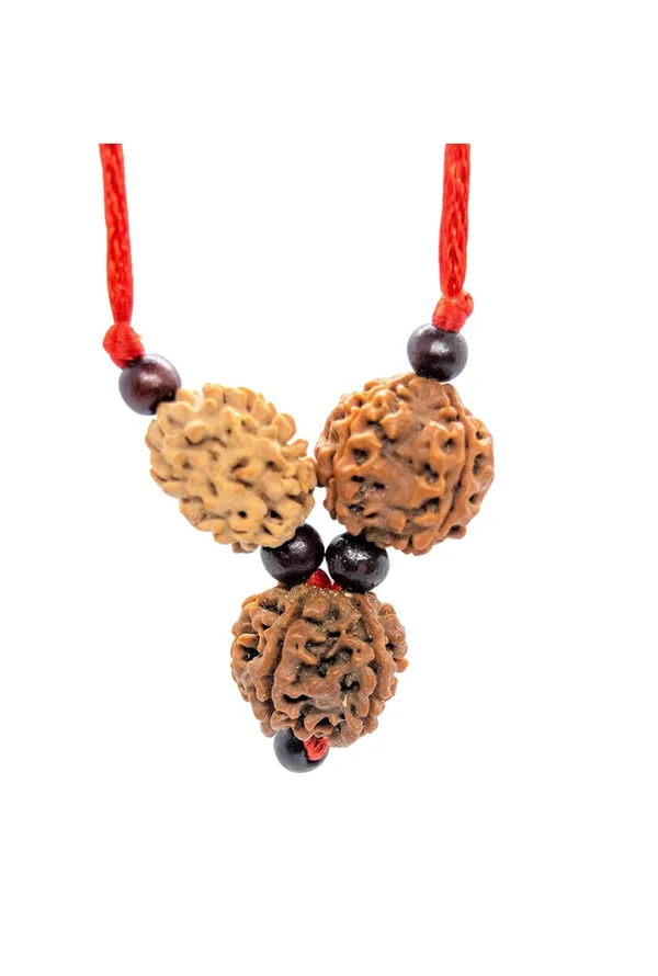 Vidhya_Band_Rudraksha_Kavach