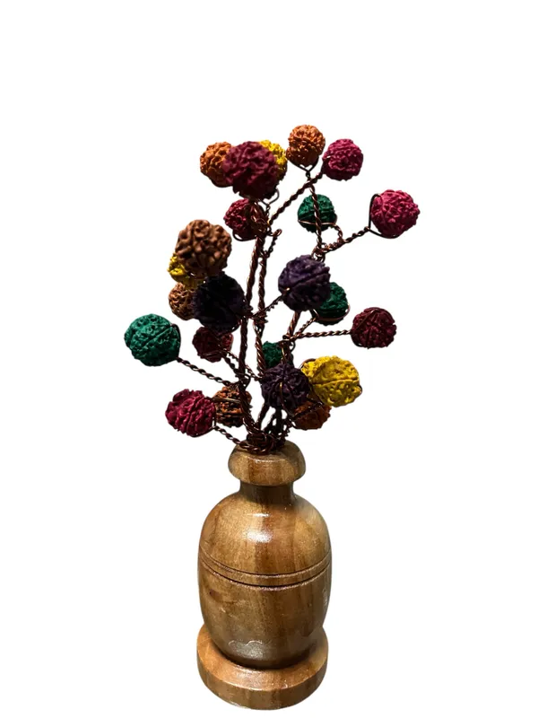 Rudraksha_Coloured_Tree