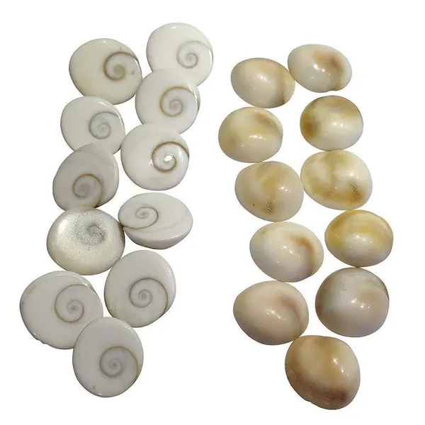 Gomati_Natural_&_Real_Chakra_(12_Pcs)