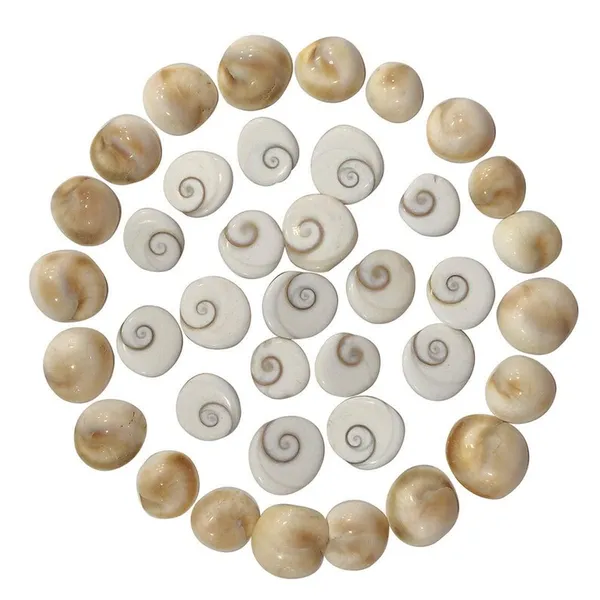 Gomati_Natural_&_Real_Chakra_(12_Pcs)