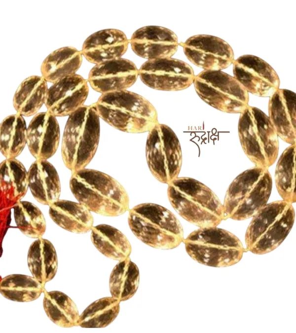 Spathik_Kantha_Oval_Shape_32+1_Beads_Unisex_Mala