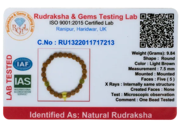 5_Mukhi_Rudraksha_Energy_Bracelet