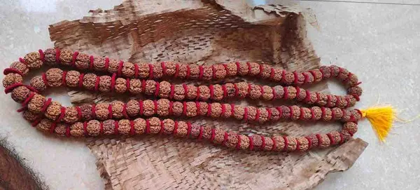 5_Mukhi_Rudraksha_Kantha_Unisex_Mala_108+1_Beads