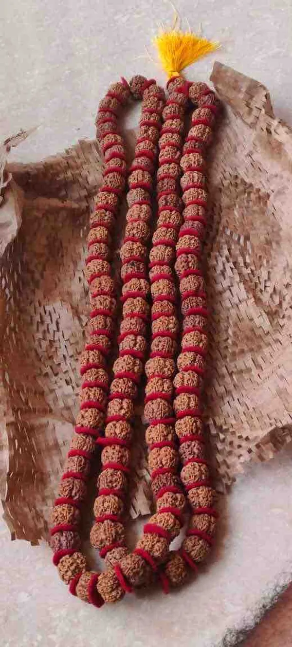 5_Mukhi_Rudraksha_Kantha_Unisex_Mala_108+1_Beads