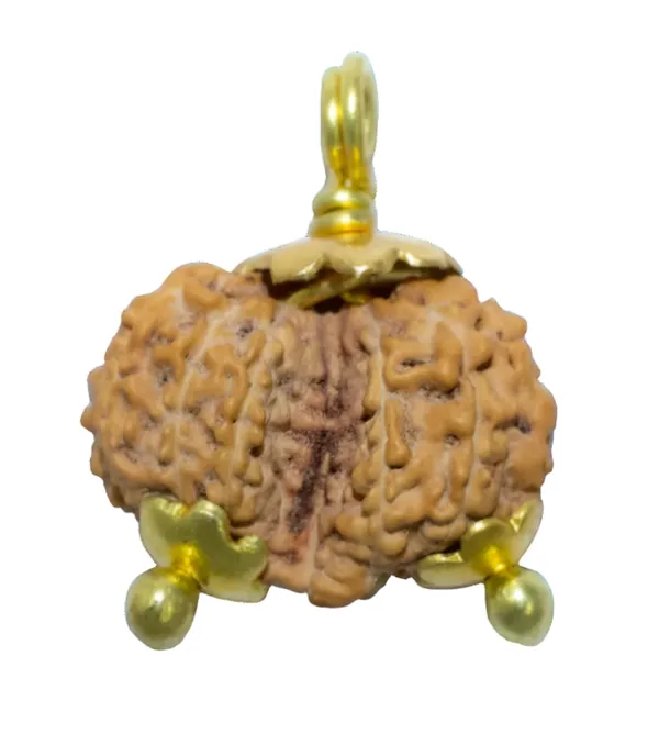 Gauri_Shankar_Java_Indonesia_Rudraksha