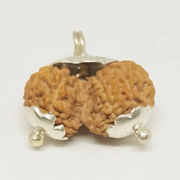 Gauri_Shankar_Java_Indonesia_Rudraksha