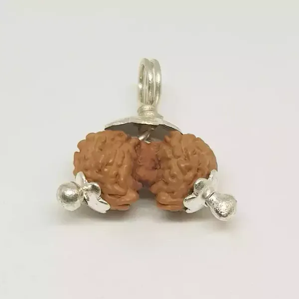 Gauri_Shankar_Java_Indonesia_Rudraksha