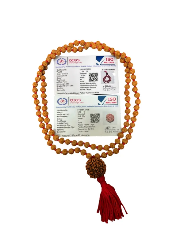 5_Mukhi_Chikna_Pathri_Mala_With_7_Mukhi_Nepal_Rudraksha