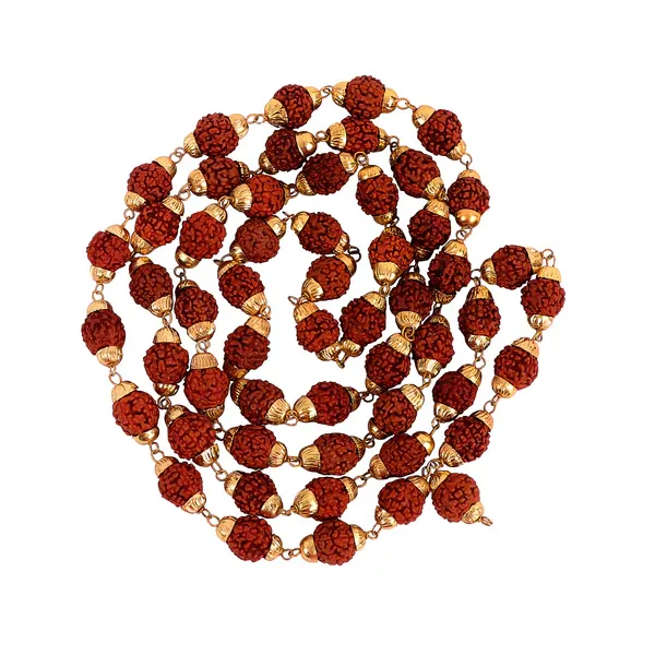 Rudraksha_Metal_Mala_With_72+1_Beads