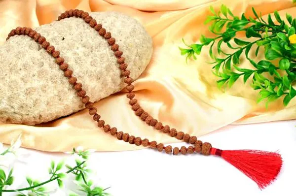 8_Mukhi_Rudraksha_Mala_Indonesian