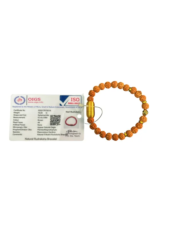 Magnetic_Rudraksha_Bracelet