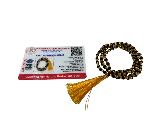 5_Mukhi_Rudraksha_Metal_Mala