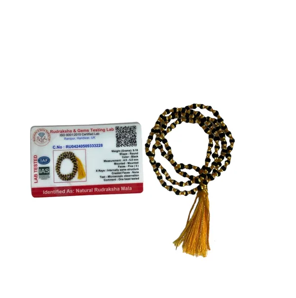 5_Mukhi_Rudraksha_Metal_Mala