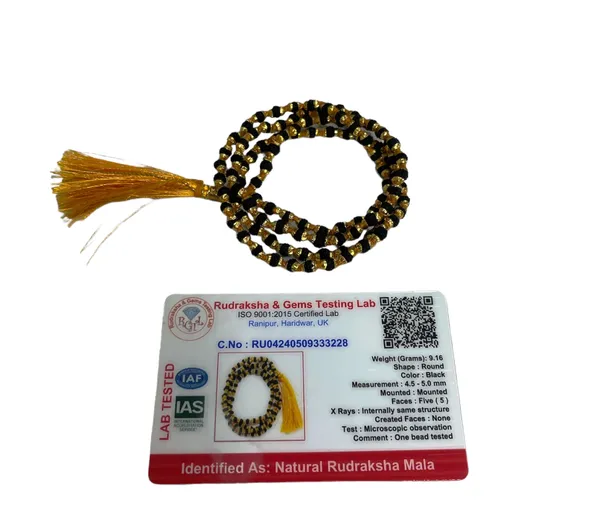 5_Mukhi_Rudraksha_Metal_Mala