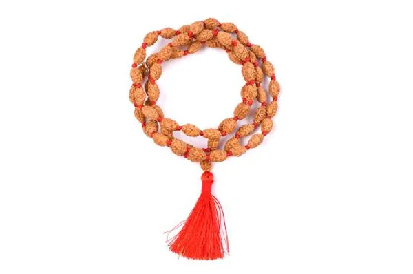 2_Mukhi_Rudraksha_Mala_Indonesian