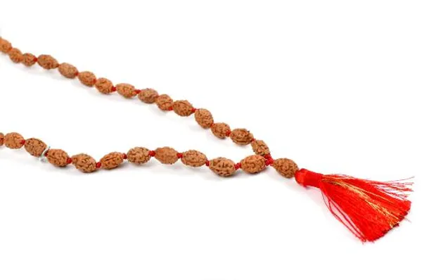 2_Mukhi_Rudraksha_Mala_Indonesian
