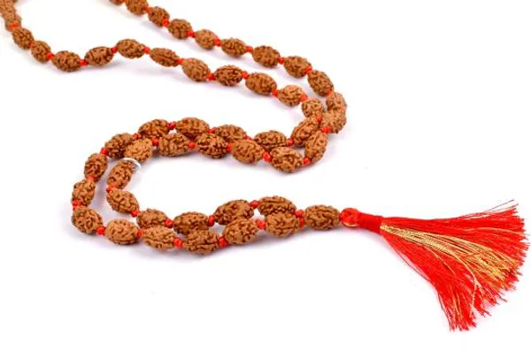 2_Mukhi_Rudraksha_Mala_Indonesian
