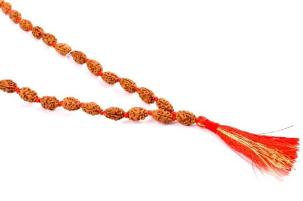 2_Mukhi_Rudraksha_Mala_Indonesian