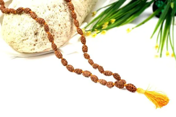 2_Mukhi_Rudraksha_Mala_Indonesian