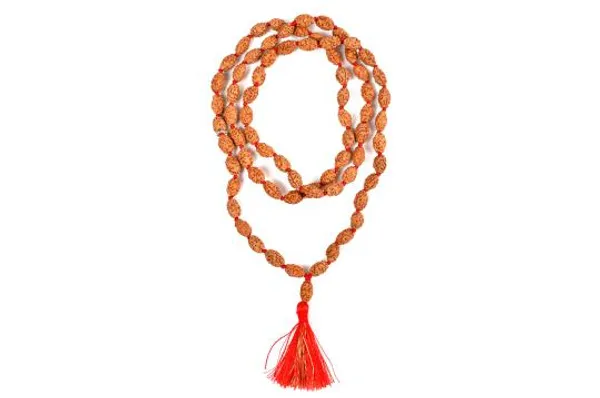 2_Mukhi_Rudraksha_Mala_Indonesian