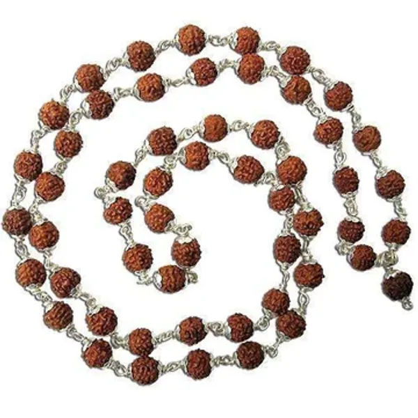 Rudraksha_Mala_In_Pure_Silver_54+1_Beads