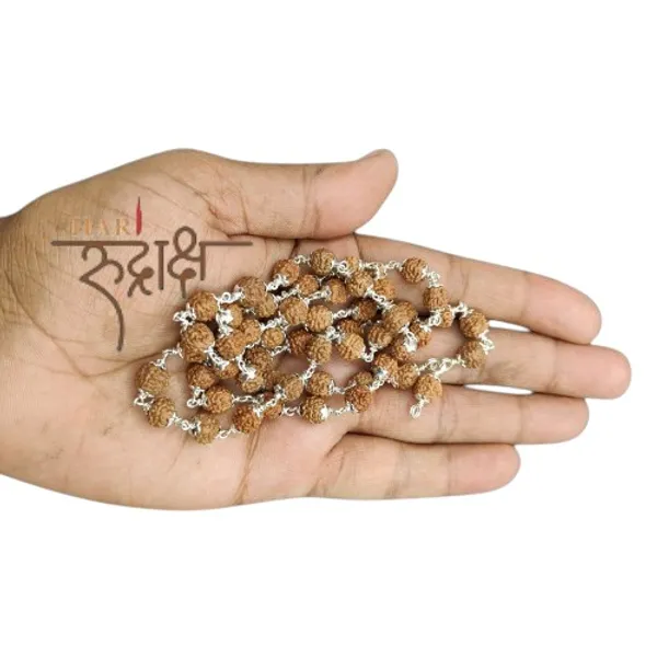 Rudraksha_Mala_In_Pure_Silver_54+1_Beads