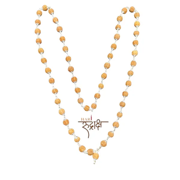 Rudraksha_Mala_In_Pure_Silver_54+1_Beads