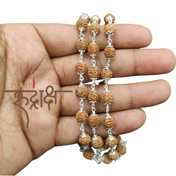 Rudraksha_Mala_In_Pure_Silver_54+1_Beads