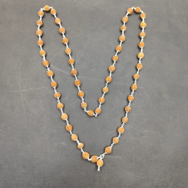 Rudraksha_Mala_In_Pure_Silver_54+1_Beads