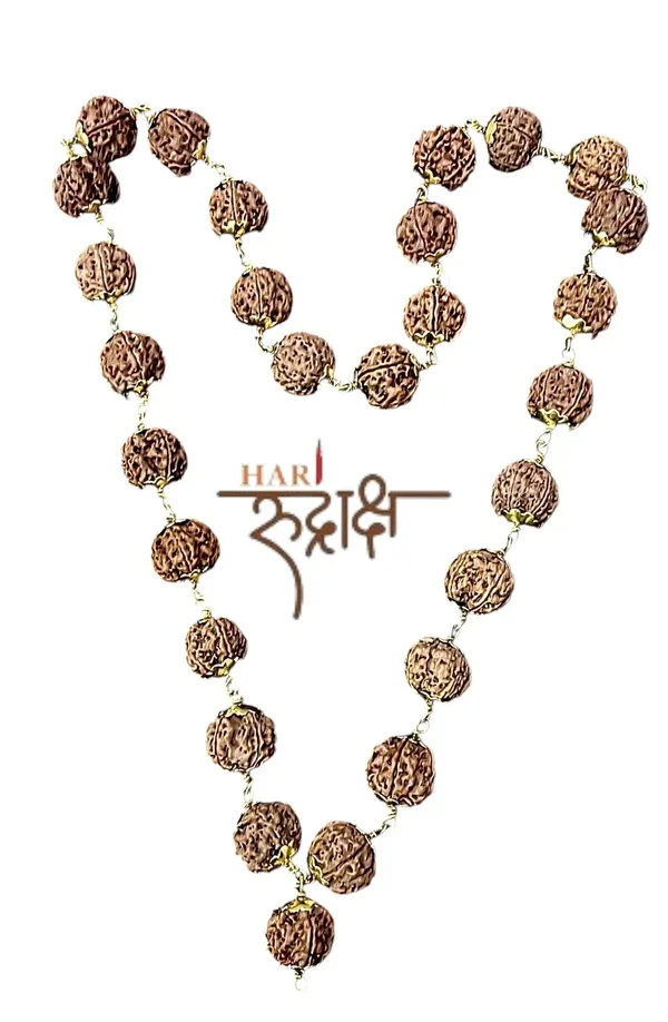 5_Mukhi_Kantha_Metal_Mala