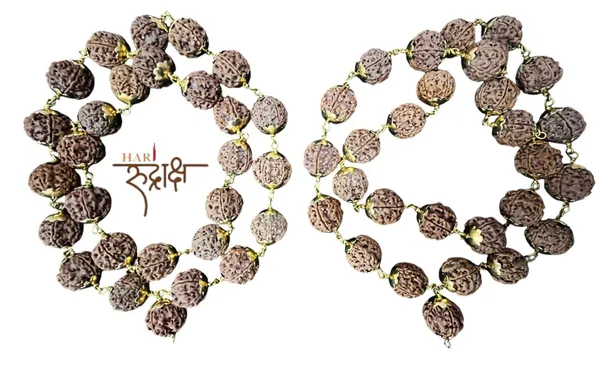 5_Mukhi_Kantha_Metal_Mala