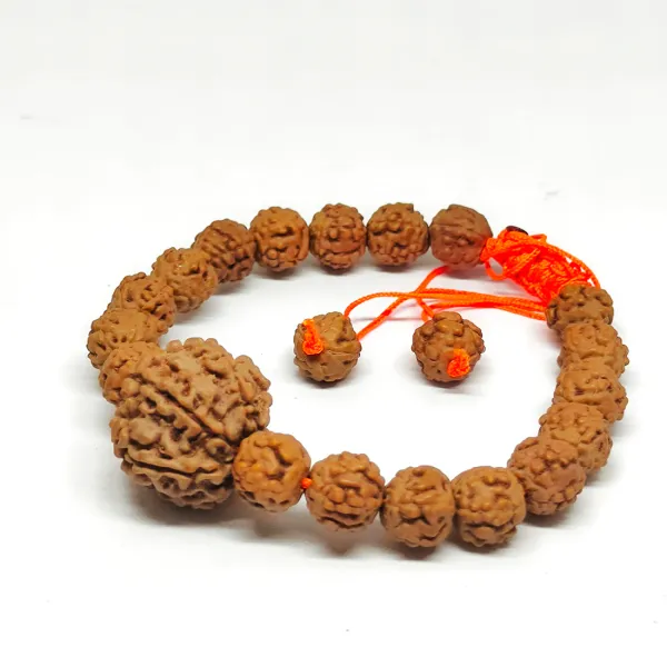 5_Mukhi_Bracelet_Java_(1_Bead_Nepal_)