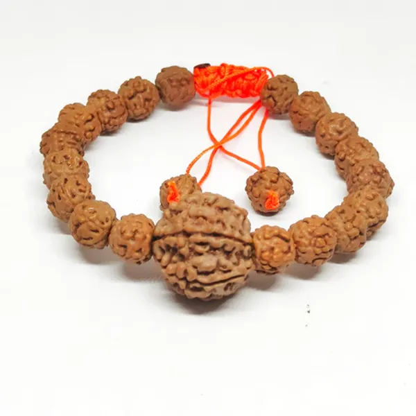 5_Mukhi_Bracelet_Java_(1_Bead_Nepal_)