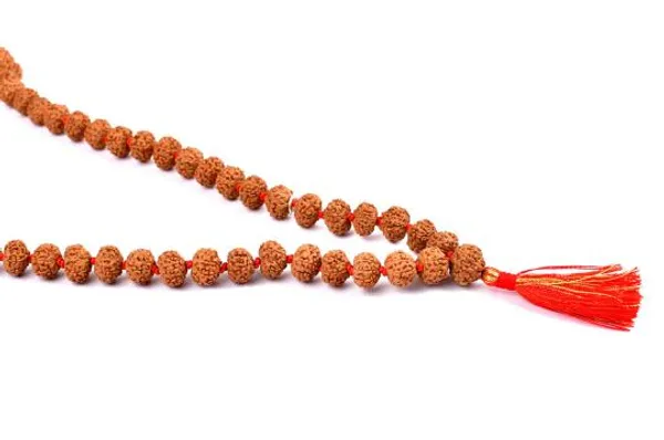 6_Mukhi_Rudraksha_Mala_Indonesian