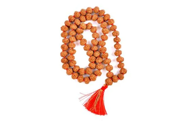 6_Mukhi_Rudraksha_Mala_Indonesian