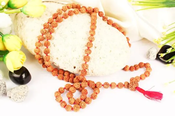 6_Mukhi_Rudraksha_Mala_Indonesian