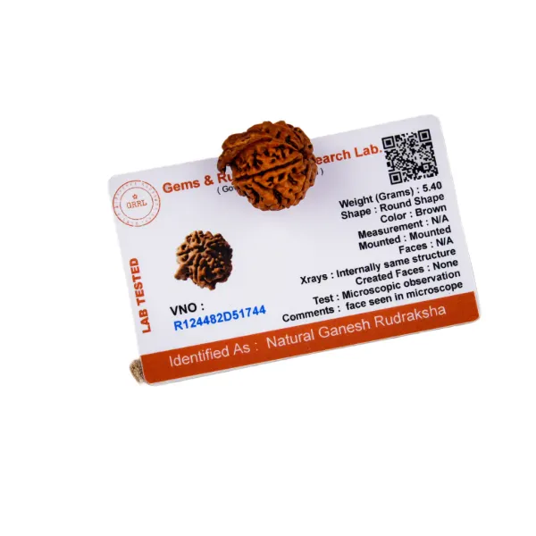 Ganesh_Rudraksha_Nepal