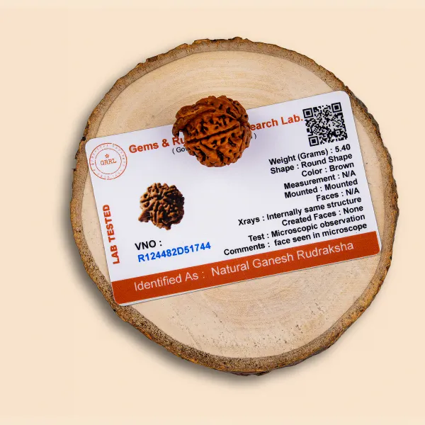 Ganesh_Rudraksha_Nepal