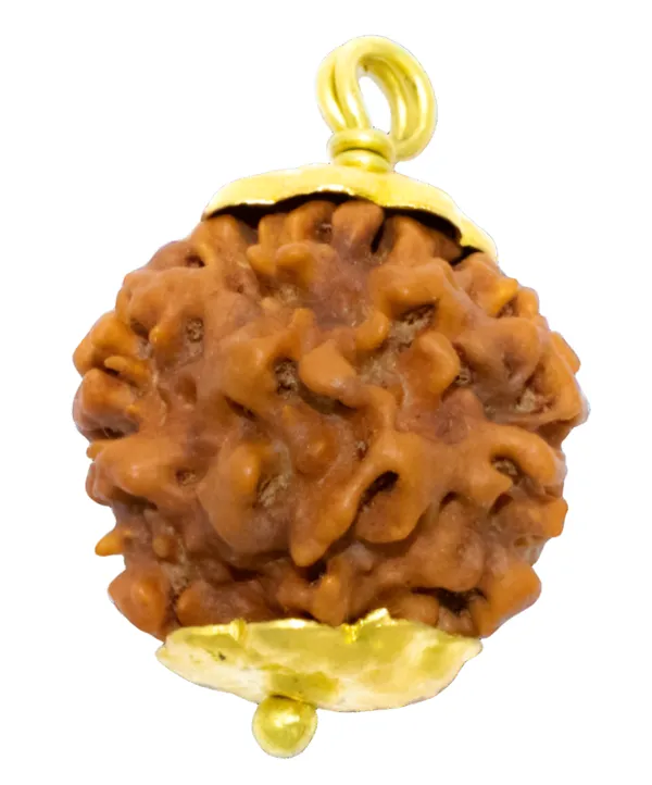 Nirakar_Rudraksha_Nepal