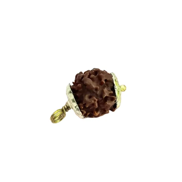 Nirakar_Rudraksha_Nepal