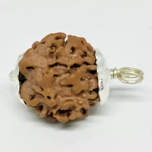 Nirakar_Rudraksha_Nepal